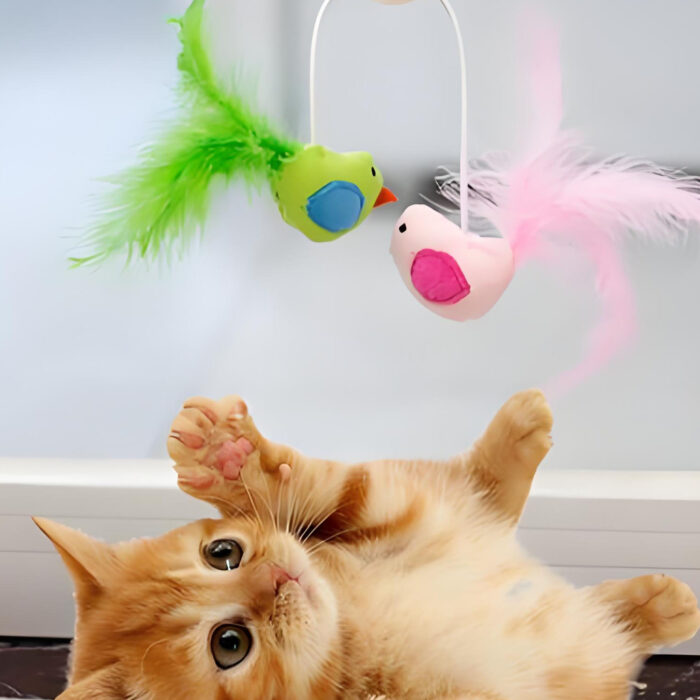 Cat Toy